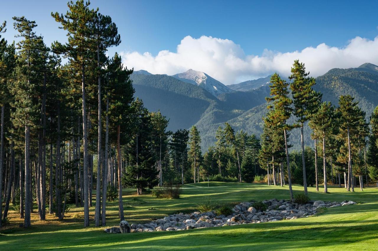 Luxury Chalets Pirin Golf & Country Club บันสโก ภายนอก รูปภาพ